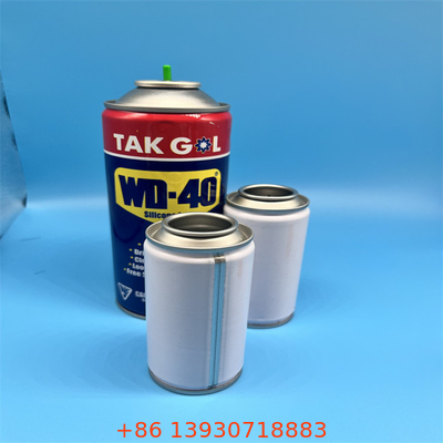 Disesuaikan Logo Butane Gas Cylinder untuk BBQ dan Outdoor Activities