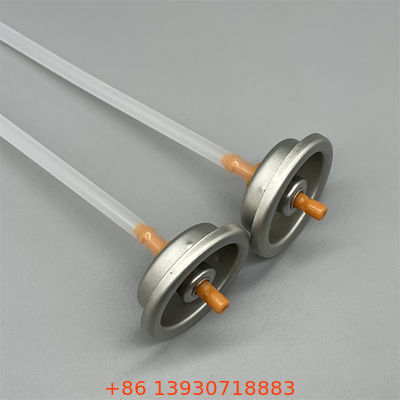 Katup Cat Semprot Aerosol Pria 1 Inci dengan Gasket Buna