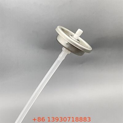 Klep pembersih karburator multi-tujuan tahan korosi tidak beracun untuk aplikasi industri dan otomotif