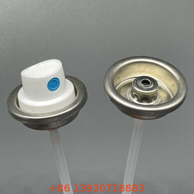 Set katup penyemprot cat wanita berlapis yang cocok dengan warna dan aktuator siap dipasang dengan ketahanan pudar dan goresan