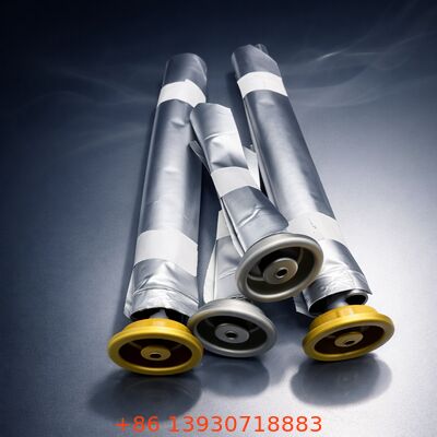 Advanced Wanita Aerosol Bag-on-Valve dengan Kemasan Ramah Lingkungan, Ukuran Satu Inci, dan Bahan Tinplate